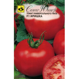 ���� ����� ������ F1   ������ ������