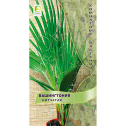 ���� ����������� ��������   ������ ������