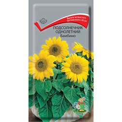 ���� ������������ ���������� �������   ������ ������