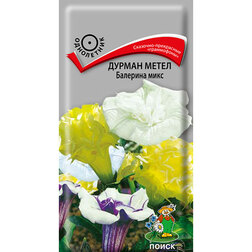 ���� ������ ����� �������� ����   ������ ������