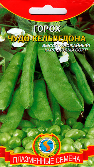 ���� ������ ������� ����� ���� ����������, 9 �   ������ ������