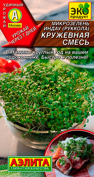 ���� ������ ������ ����������� ������� ��������� �����, 3 �   ������ ������