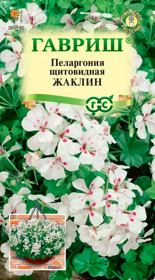 ���� ������ ������ ���������� ��������� ������, 3 ��.   ������ ������