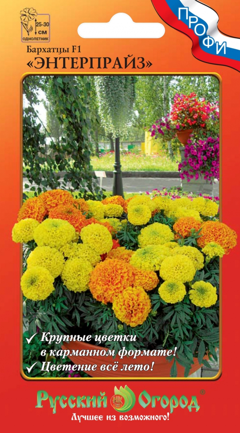 ���� ������ ������� ������ �������� ���������� F1, �����, 10 ��. �����   ������ ������