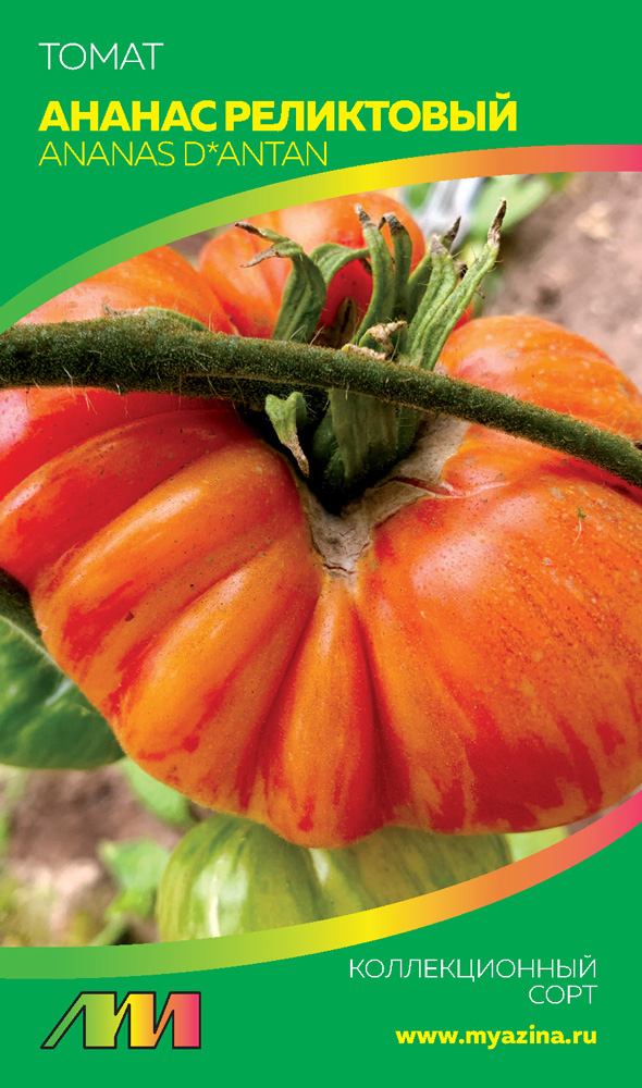 ���� ������ ������ ������ ����������� ����� ������ ����������, 5 ��. ������������� ����   ������ ������