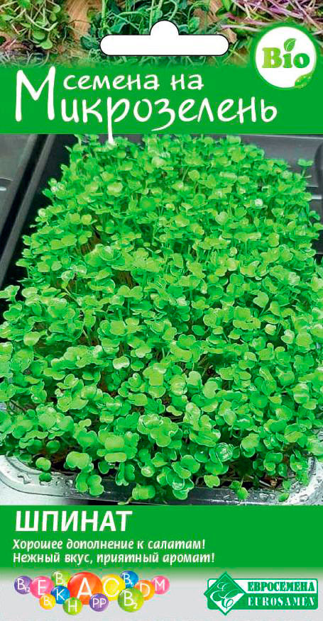 ���� ������ ���������� ����������� ������, 5 �   ������ ������