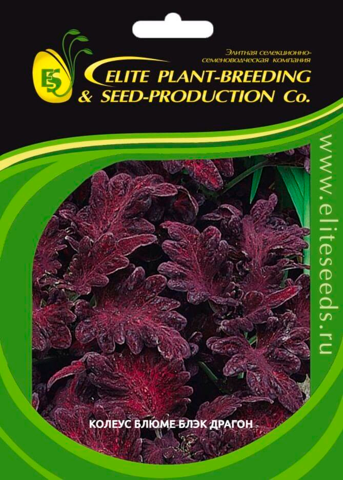   Elite Seeds      , 70 .      -     , -, 