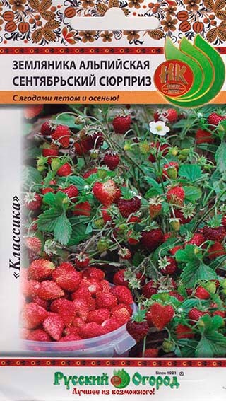 ���� ������ ������� ������ ��������� ���������� ������������ �������, 0,05 �   ������ ������