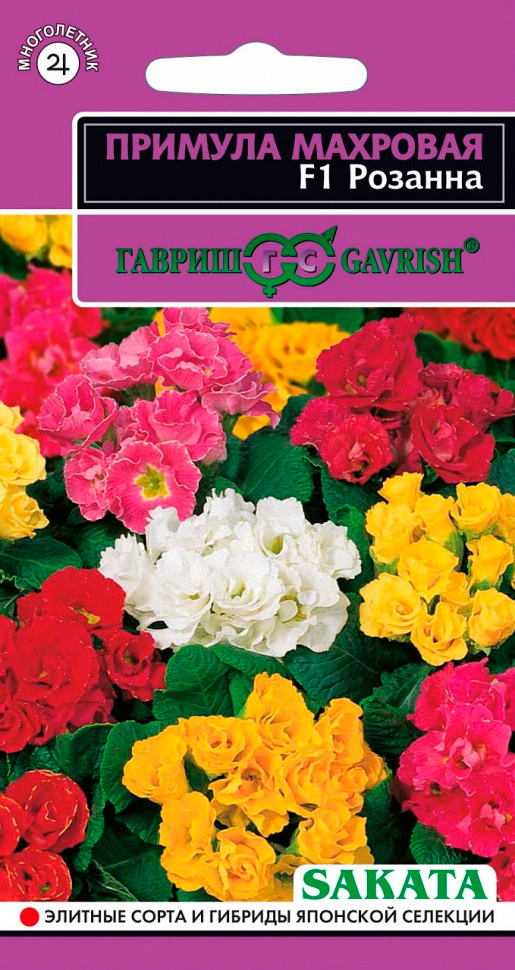 ���� ������ ������ ������� �������� �������, ����� F1, 4 ��. ������� ������ Sakata   ������ ������