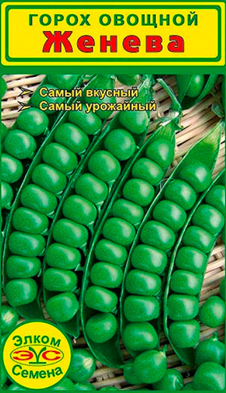 ���� ������ ����� ������ ����� ������, 5 �   ������ ������