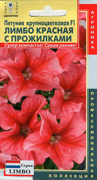 ���� ������ ������� ������� ��������������� ����� ������� � ���������� F1, 10 ����� ���������������� ���������   ������ ������