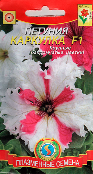 ���� ������ ������� ������� ��������������� �������� F1, 10 �����   ������ ������