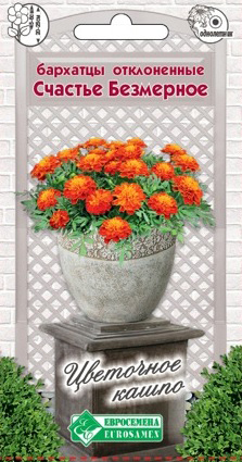 ���� ������ ���������� �������� ����������� ������� ���������, 10 ��. ��������� �����   ������ ������