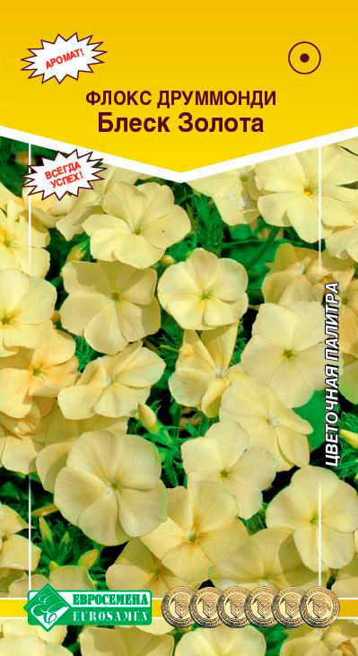 ���� ������ ���������� ����� ��������� ����� ������, 0,1 �   ������ ������