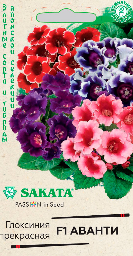      F1, , 4 . Sakata    -     , -, 