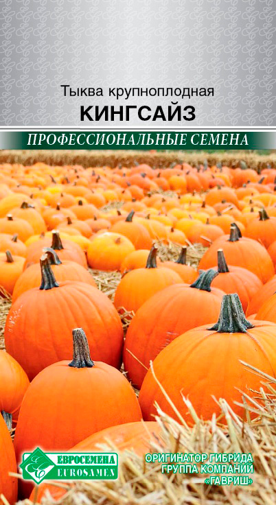 ���� ������ ���������� ����� ������������� ���� ����, 5 ��. ���������������� ������   ������ ������