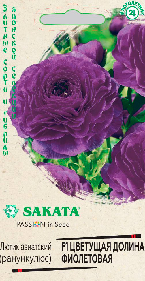        F1, 3 . Sakata     -     , -, 