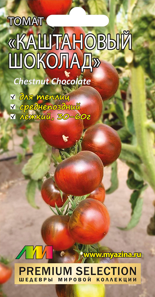         (Chestnut Chocolate), 5 . Premium Selection    -     , -, 