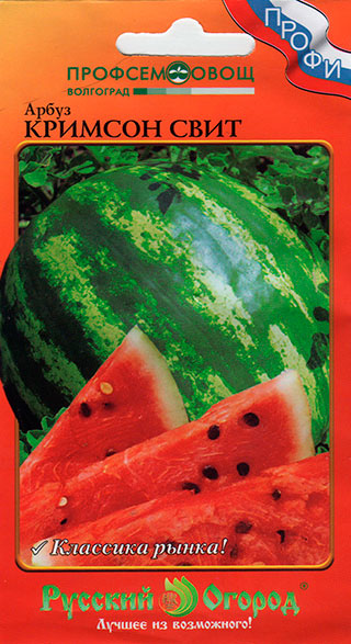 ���� ������ ������� ������ ����� ������� ����, 14 ��. �����   ������ ������