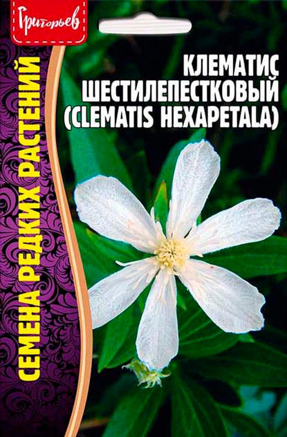      (Clematis hexapetala), 10 .       -     , -, 