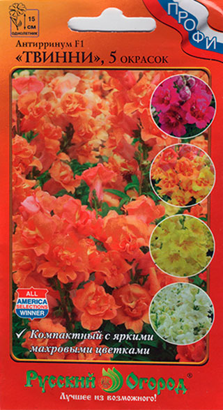 ���� ������ ������� ������ ���������� �������� (������� ���) ������ ���� ������� F1, �����, 10 ��. �����   ������ ������