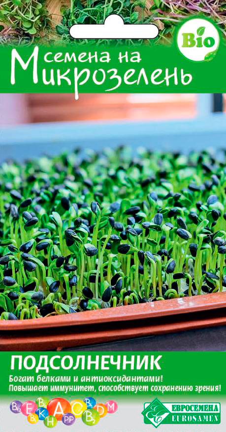 ���� ������ ���������� ����������� ������������, 10 �   ������ ������