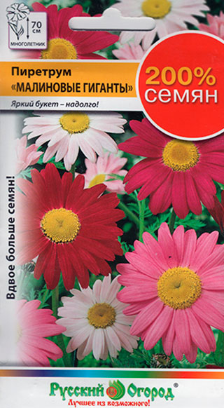 ���� ������ ������� ������ �������� ��������� �������, �����, 0,4 �   ������ ������