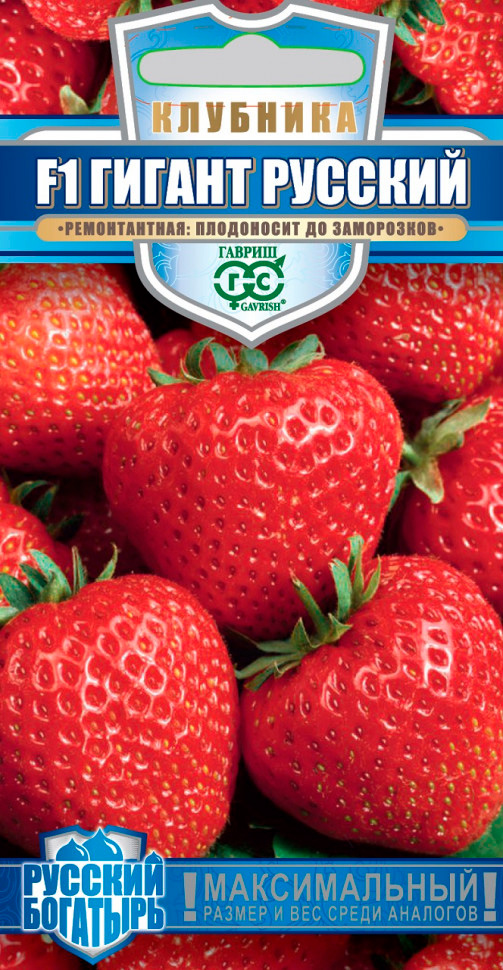 ���� ������ ������ �������� ������ ������� F1, 5 ��. ������� ��������   ������ ������