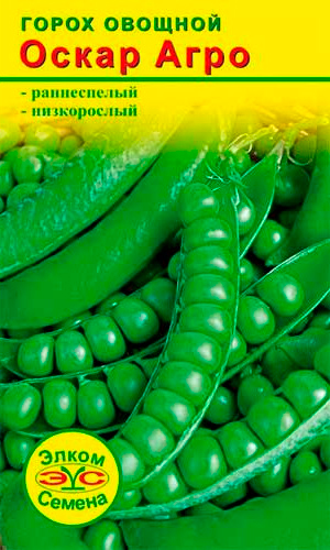 ���� ������ ����� ������ ����� ����� ����, 4 �   ������ ������