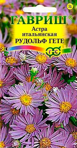 ���� ������ ������ ����� ����������� ����������� ������� ø��, 0,1 �   ������ ������