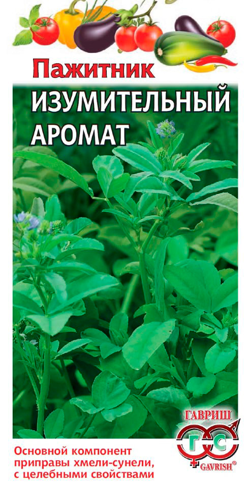 ���� ������ ������ �������� (������� �����) ������� ������������ ������   ������ ������