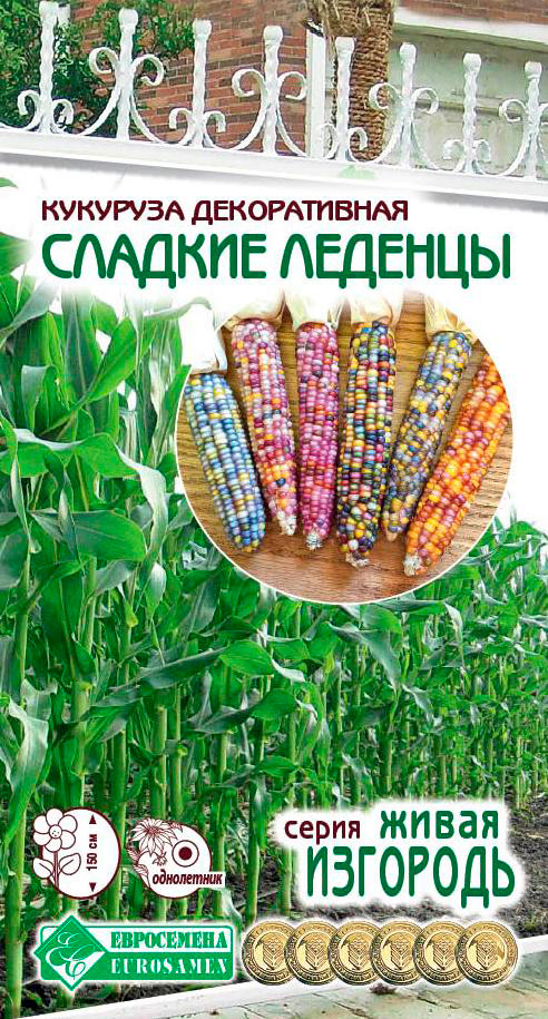 ���� ������ ���������� �������� ������������ ������� �������, 10 ��. ����� ��������   ������ ������