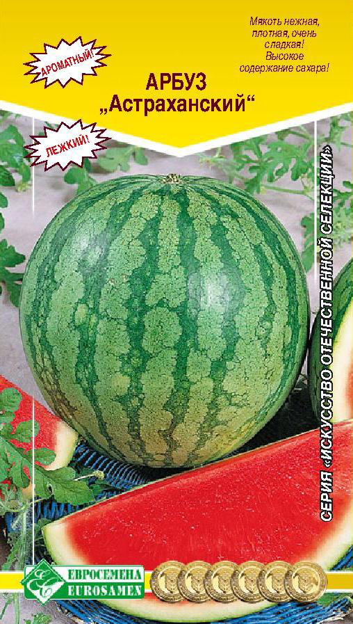 ���� ������ ���������� ����� ������������, 10 ��. ��������� ������������� ��������   ������ ������