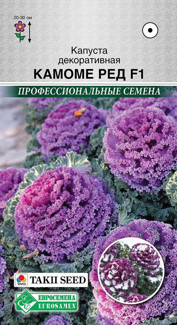 ���� ������ ���������� ������� ������������ ������ ��� F1, 5 ��. Takii ���������������� ������   ������ ������