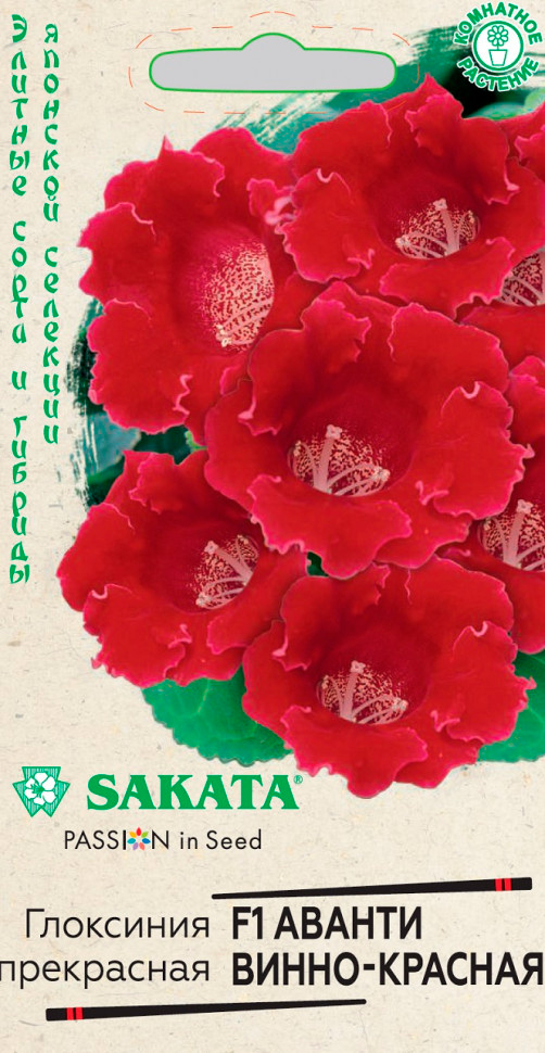      - F1, 5 . Sakata    -     , -, 