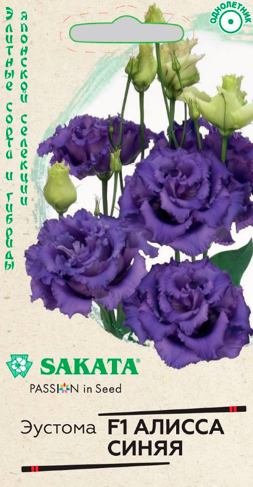        F1, 4 . Sakata     -     , -, 