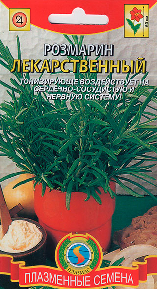 ���� ������ ������� �������� �������������, 20 ��.   ������ ������