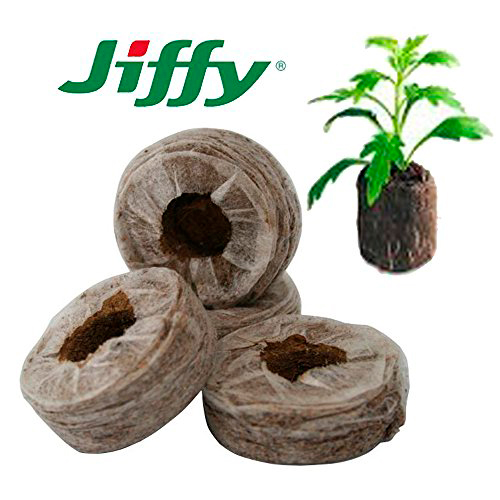     JIFFY -   - 7 (Jiffy - 7) 41 , 20 .    -     , -, 