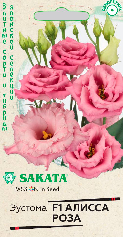        F1, 4 . Sakata     -     , -, 