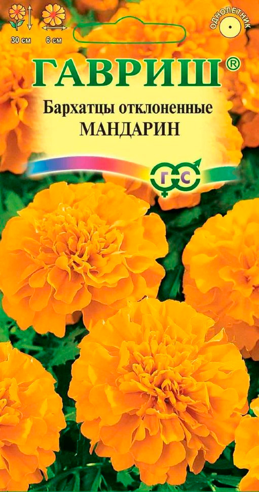 ���� ������ ������ �������� ����������� ��������, 0,3 �   ������ ������