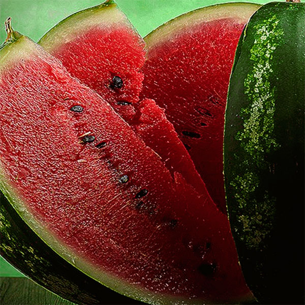 ���� ������ ����� ������ ����� ������ F1, 5 ��.   ������ ������