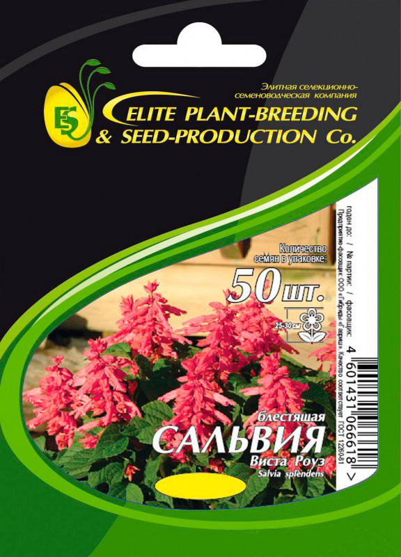   Elite Seeds      , 50 .      -     , -, 