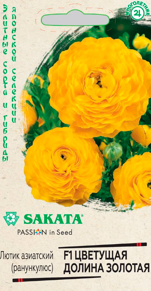 ���� ������ ������ ���������� �������� ������ ������� F1, 3 ��. Sakata ���������   ������ ������