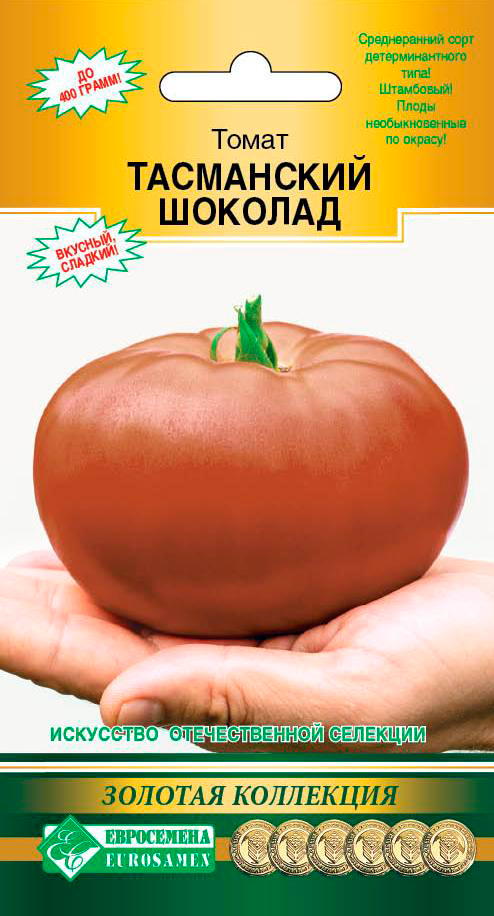 ���� ������ ���������� ����� ���������� �������, 10 ��. ������� ���������   ������ ������