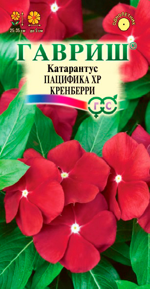 ���� ������ ������ ���������� �������� XP ���������, 5 ��.   ������ ������