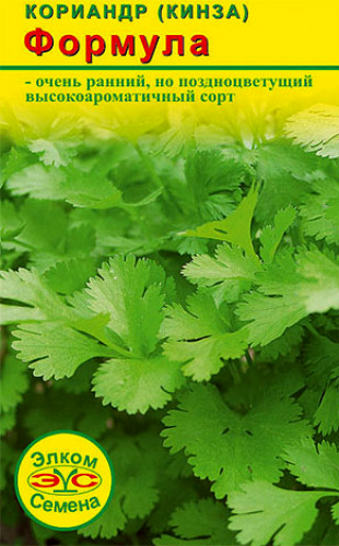 ���� ������ ����� ������ �������� (�����) �������, 2 �   ������ ������