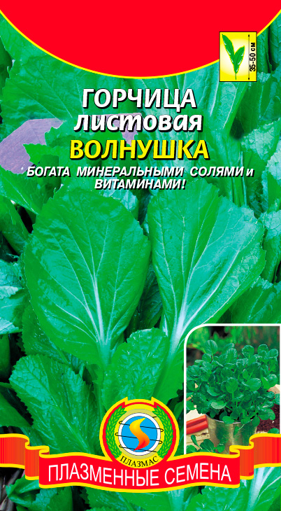 ���� ������ ������� ������� �������� ��������, 1 �   ������ ������