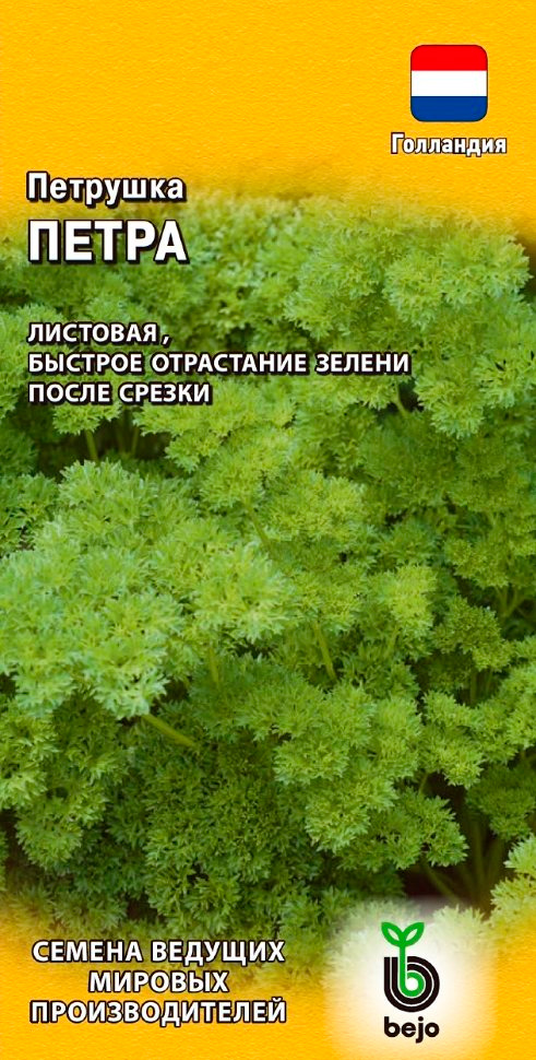 ���� ������ ������ �������� �������� �����, 0,5 � Bejo Zaden   ������ ������