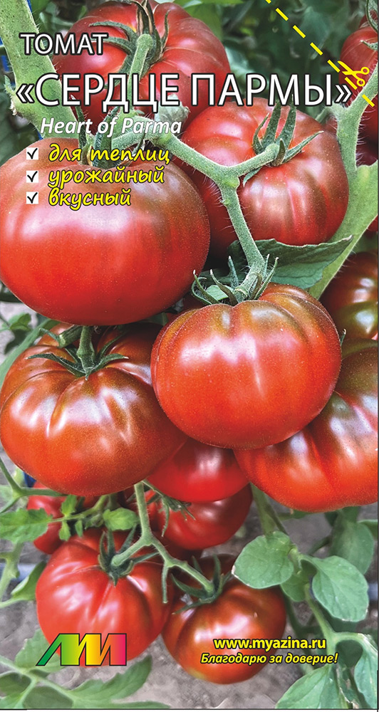 ���� ������ ������ ������ ����������� ����� ������ �����, 0,02 �   ������ ������