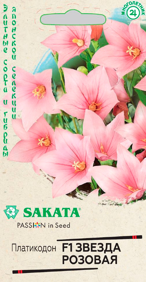        F1, 5 . Sakata    -     , -, 